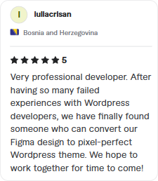 Testimonial for premium WordPress website build