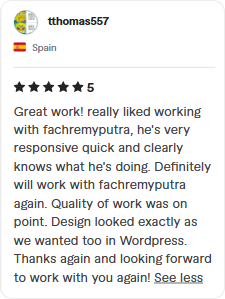 5-star feedback for dedicated WordPress developer